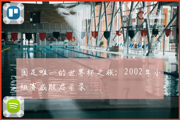 国足唯一的世界杯之旅:2002年小组赛成败启示录