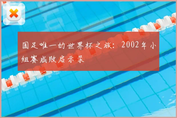 国足唯一的世界杯之旅:2002年小组赛成败启示录
